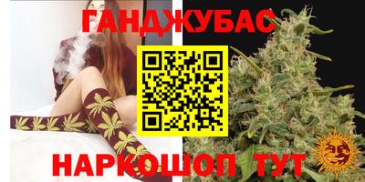 тгк Новозыбков