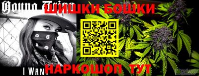 тгк Новозыбков