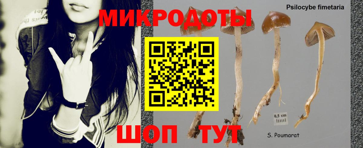 Псилоцибиновые грибы ЛСД Сухой Лог